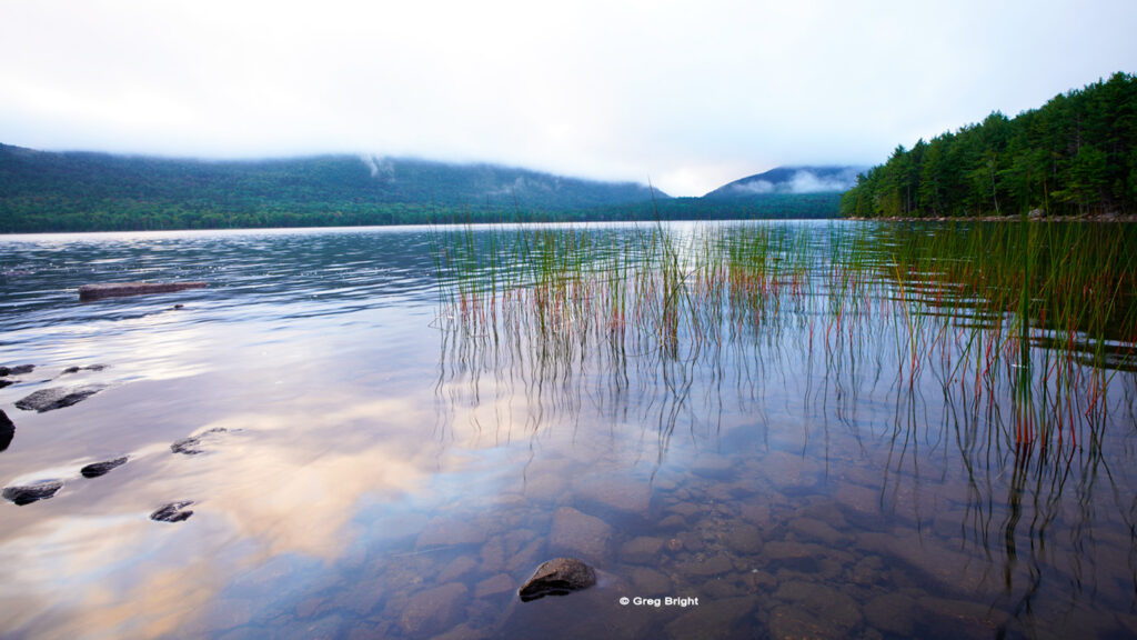 greg-bright-photography-eagle-lake