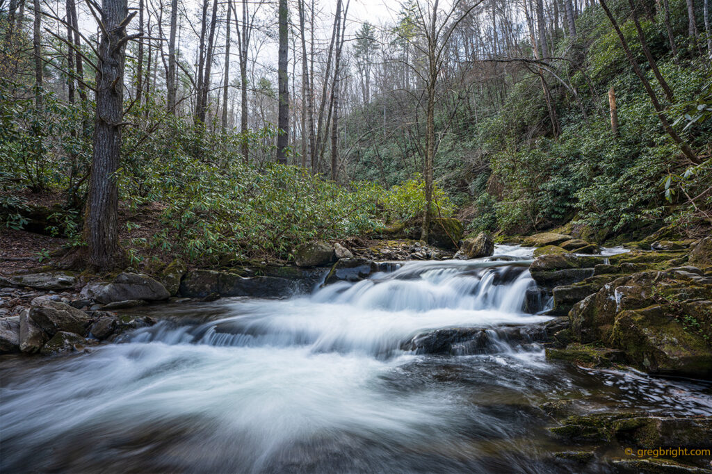 Greg Bright Mountain Stream